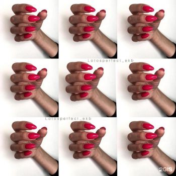 lotos-perfect-nails_6.jpg